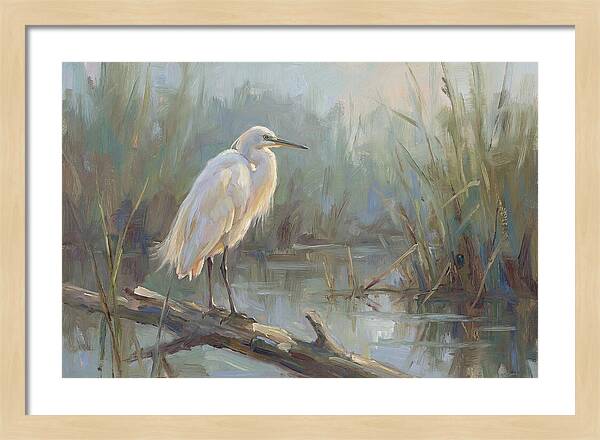 Majestic Egret In Serenity