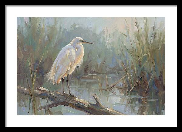 Majestic Egret In Serenity