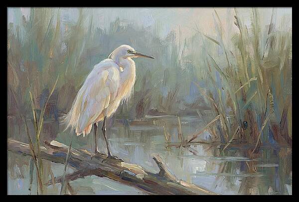 Majestic Egret In Serenity