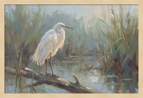 Majestic Egret In Serenity