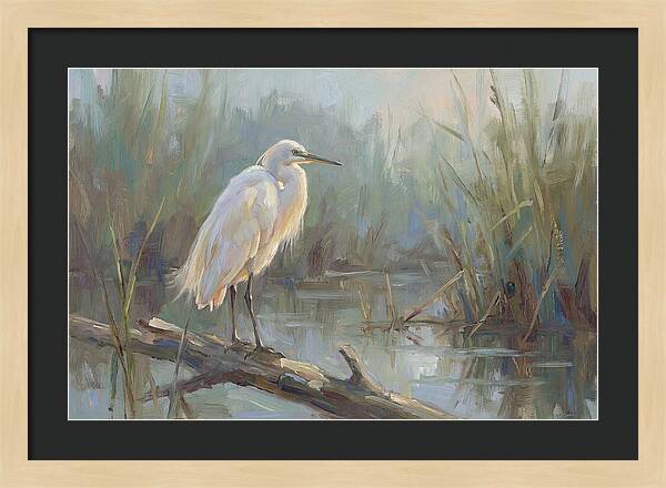 Majestic Egret In Serenity