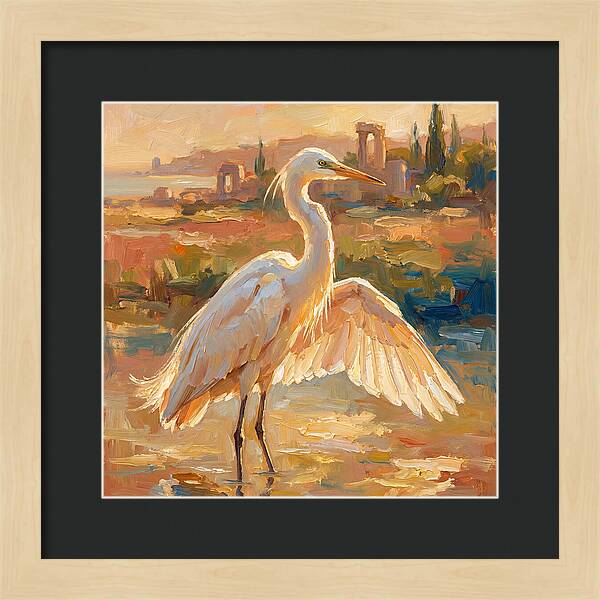 Majestic Egret In The Mediterranean