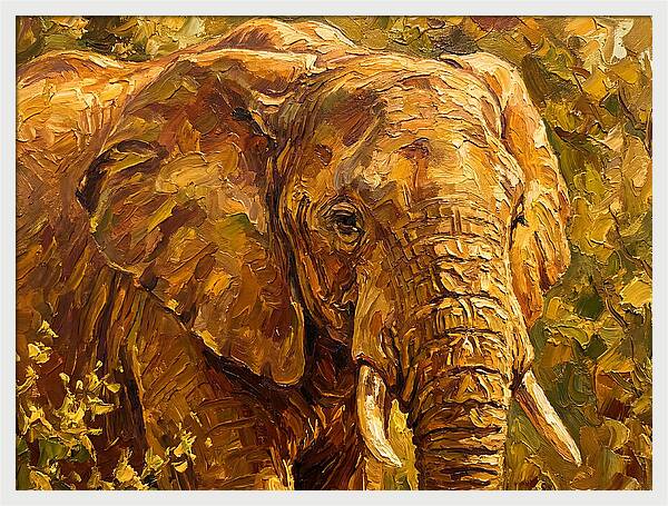 Majestic Elephant In Nature
