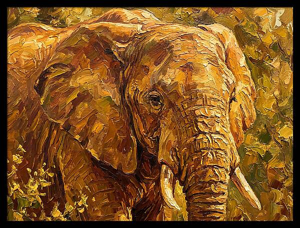 Majestic Elephant In Nature