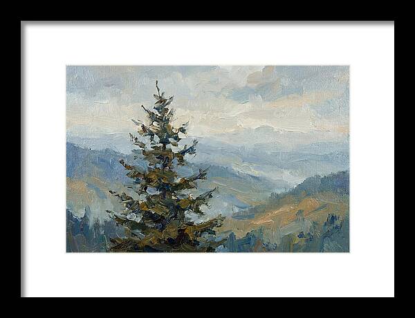 Majestic Fir Tree Landscape