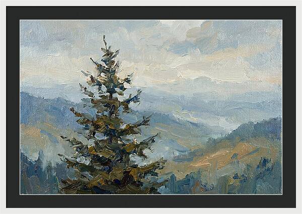 Majestic Fir Tree Landscape