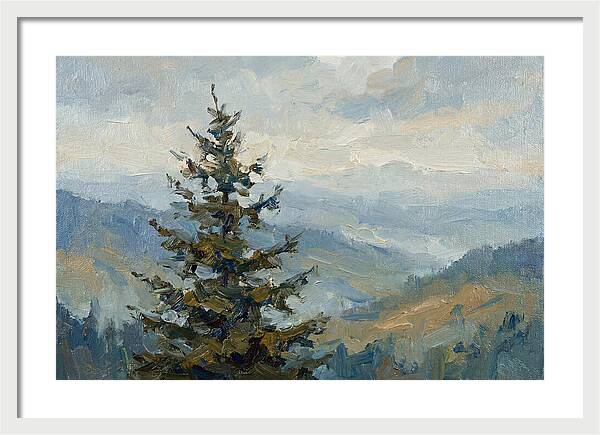 Majestic Fir Tree Landscape