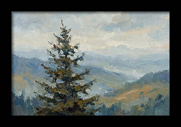 Majestic Fir Tree Landscape