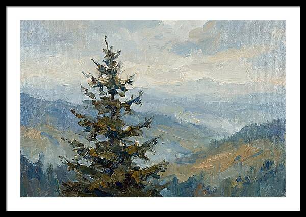 Majestic Fir Tree Landscape