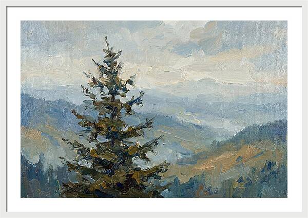 Majestic Fir Tree Landscape