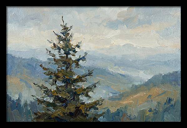 Majestic Fir Tree Landscape