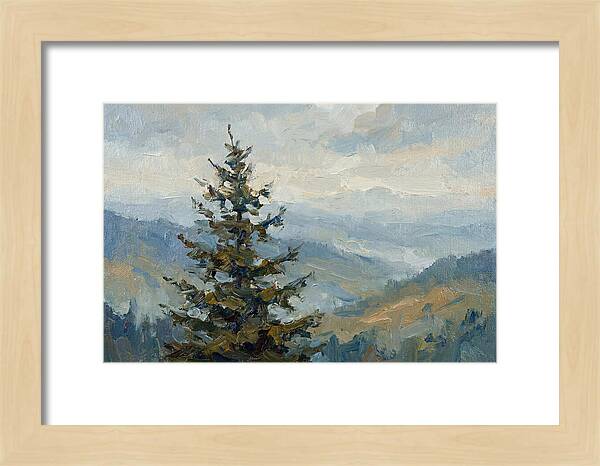 Majestic Fir Tree Landscape
