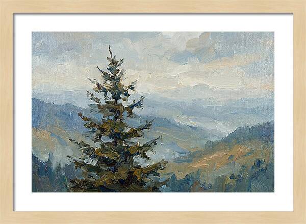 Majestic Fir Tree Landscape