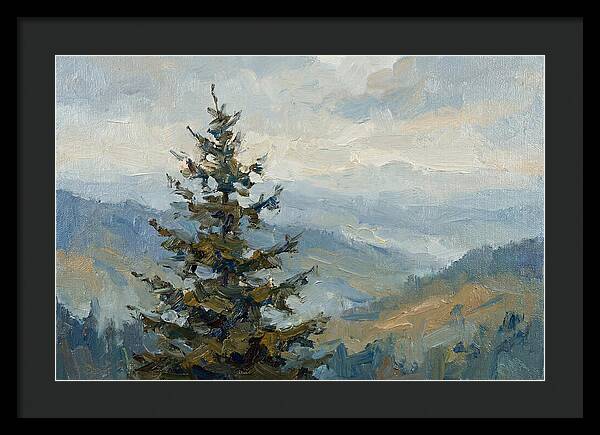 Majestic Fir Tree Landscape