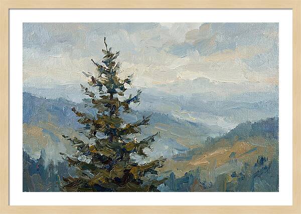 Majestic Fir Tree Landscape