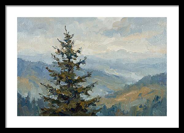 Majestic Fir Tree Landscape