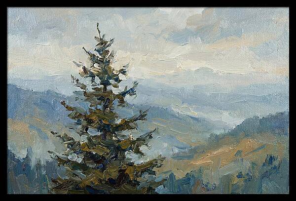 Majestic Fir Tree Landscape