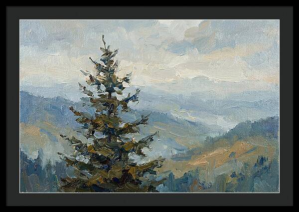 Majestic Fir Tree Landscape