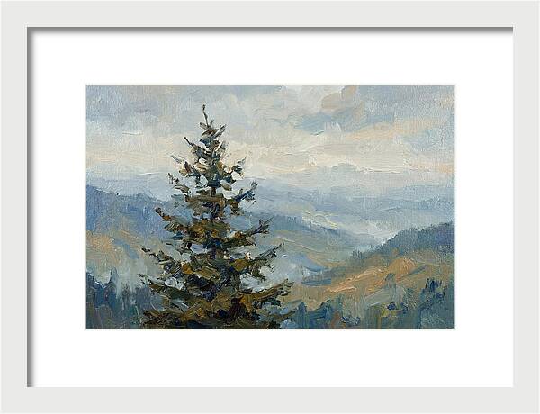 Majestic Fir Tree Landscape