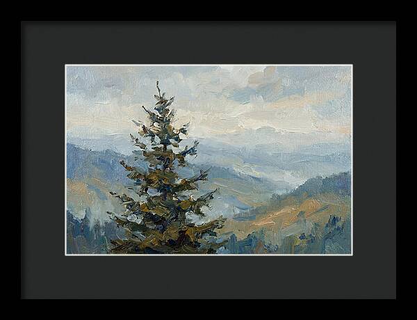 Majestic Fir Tree Landscape