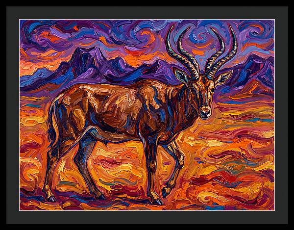 Majestic Four Horned Antelope