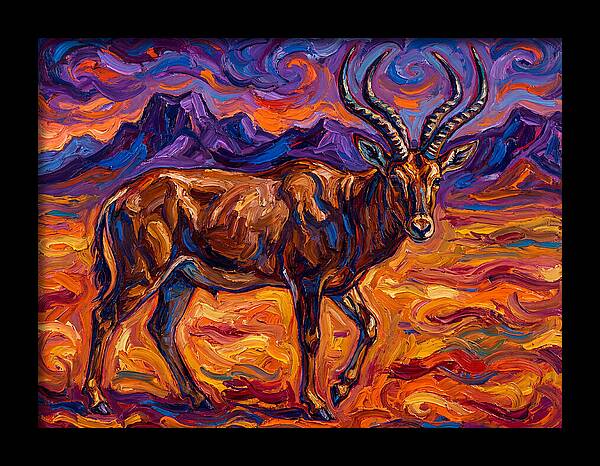 Majestic Four Horned Antelope