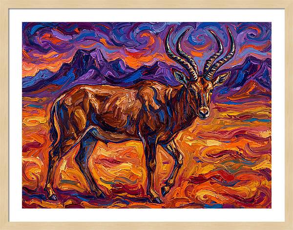 Majestic Four Horned Antelope