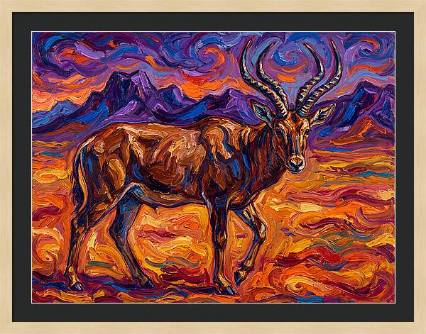 Majestic Four Horned Antelope