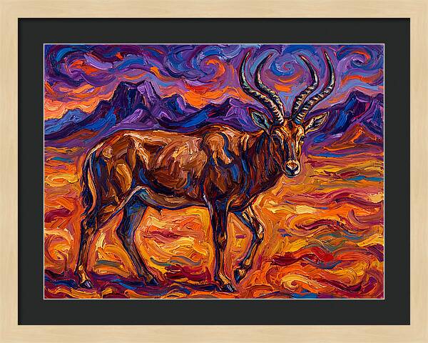 Majestic Four Horned Antelope