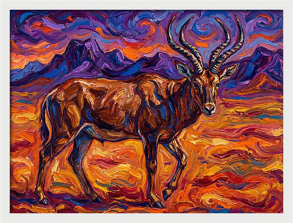 Majestic Four Horned Antelope