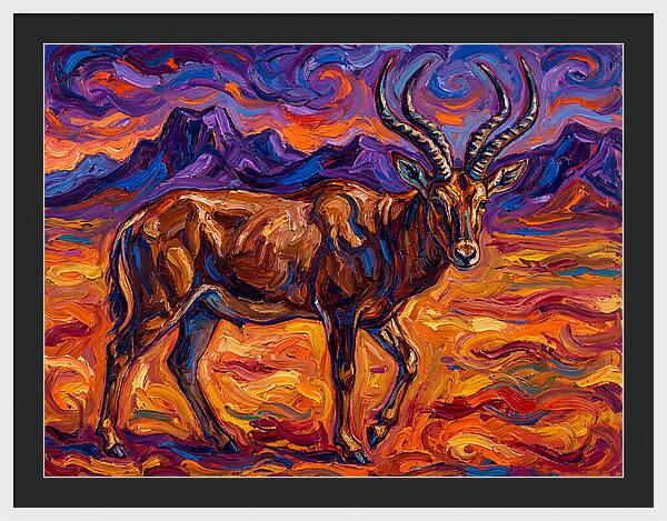 Majestic Four Horned Antelope