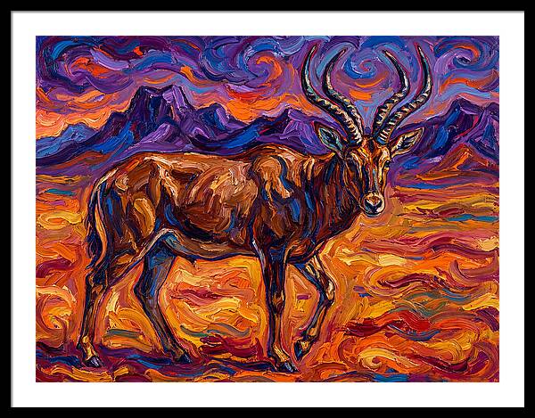 Majestic Four Horned Antelope