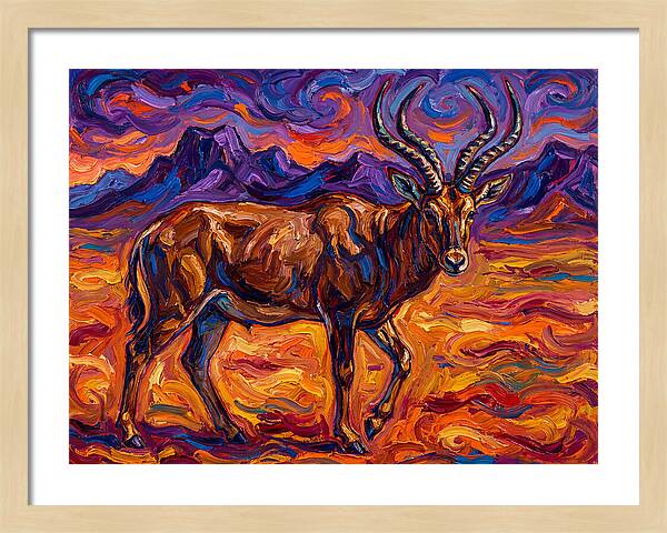Majestic Four Horned Antelope