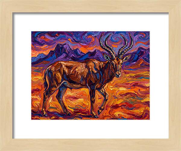 Majestic Four Horned Antelope