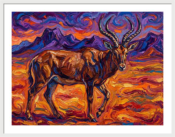 Majestic Four Horned Antelope