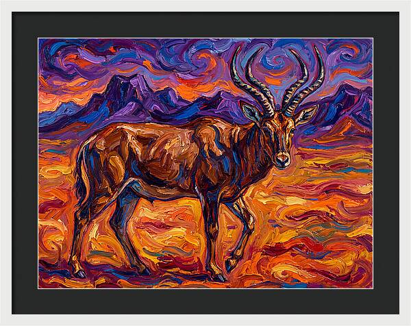 Majestic Four Horned Antelope