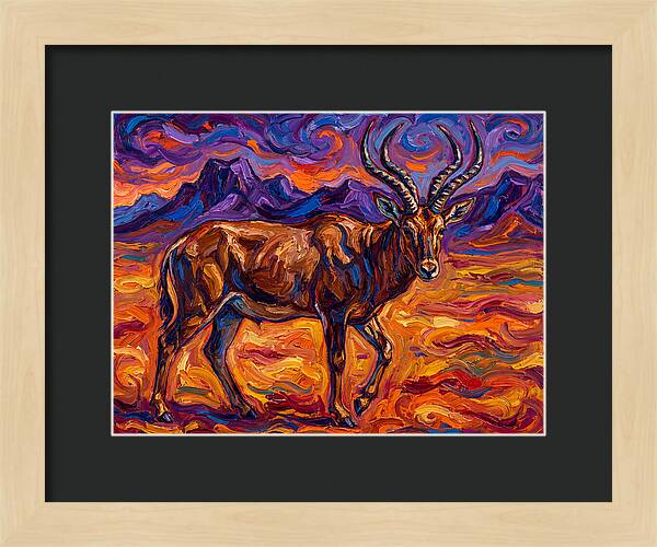 Majestic Four Horned Antelope