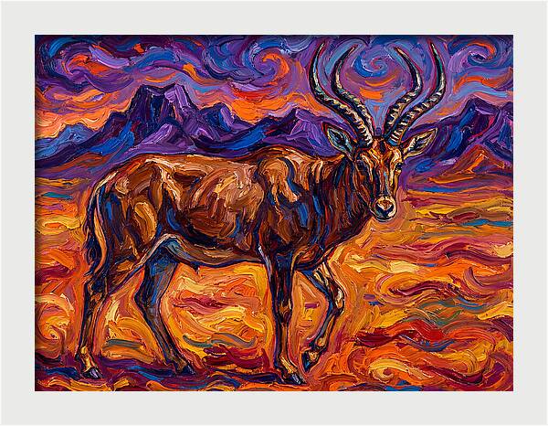 Majestic Four Horned Antelope