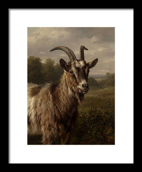 Majestic Goat Portrait