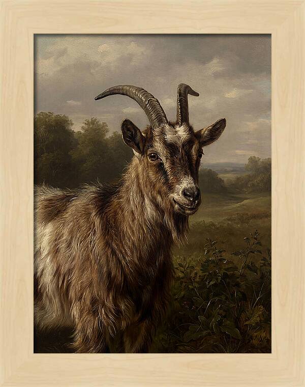 Majestic Goat Portrait