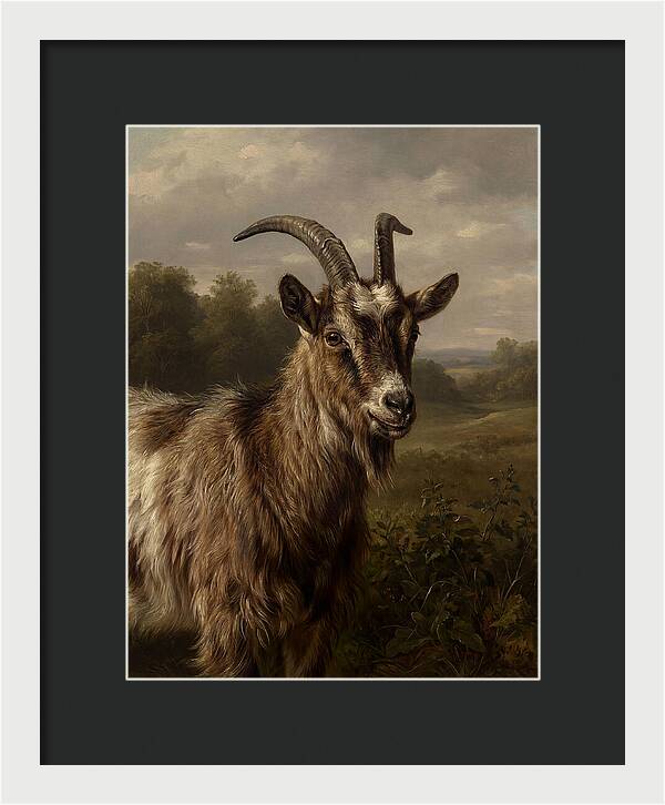 Majestic Goat Portrait