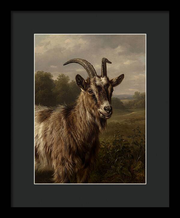 Majestic Goat Portrait