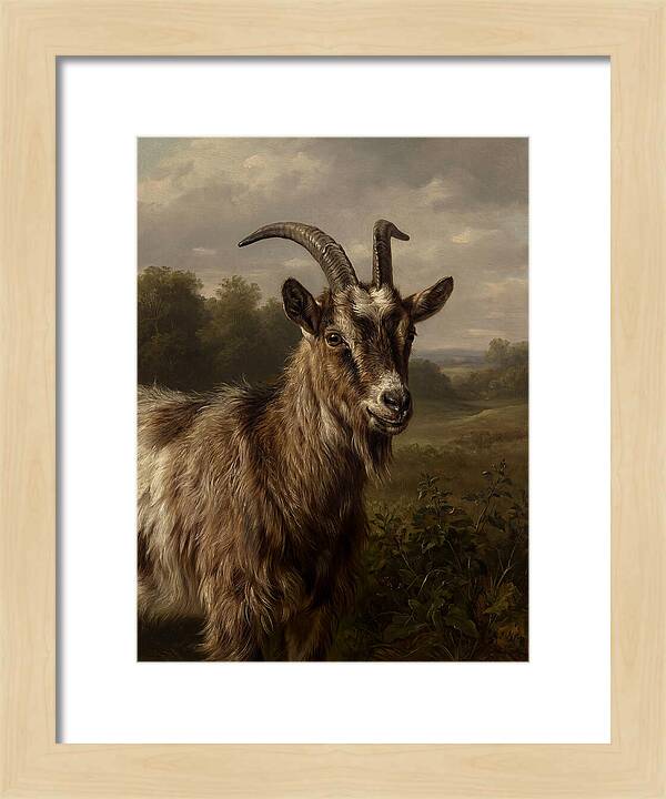 Majestic Goat Portrait