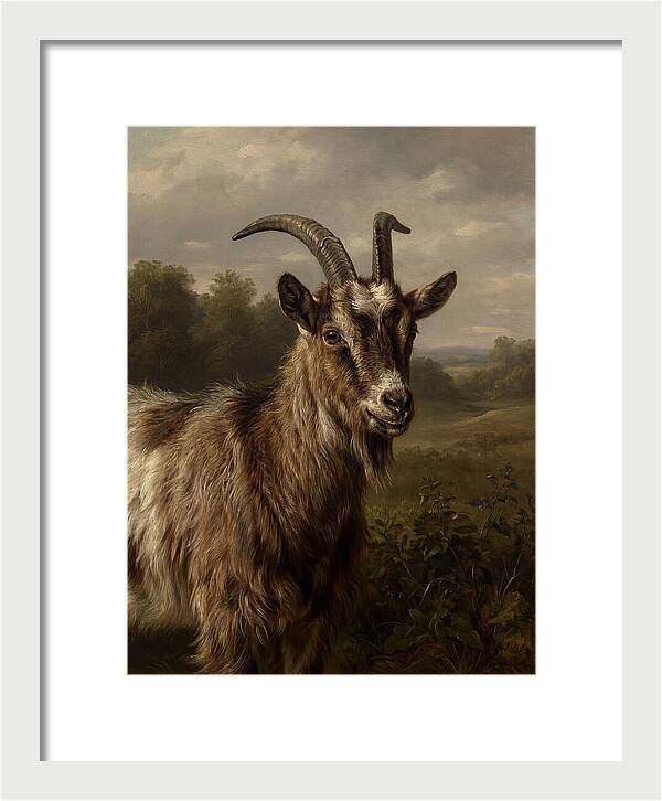 Majestic Goat Portrait