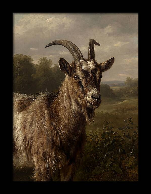 Majestic Goat Portrait