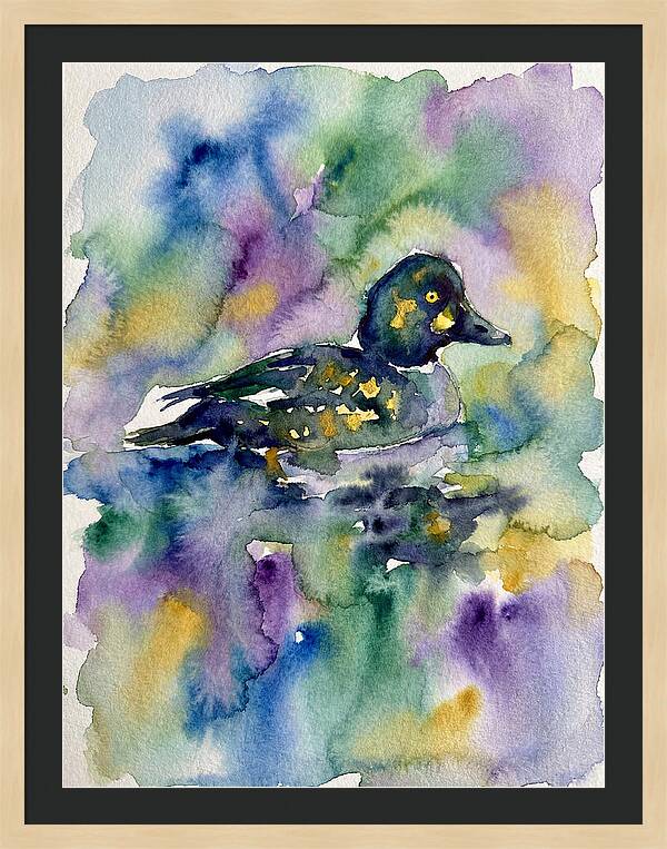 Majestic Goldeneye Duck Portrait