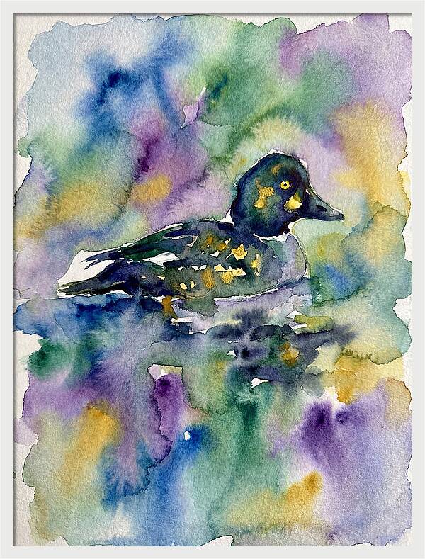 Majestic Goldeneye Duck Portrait
