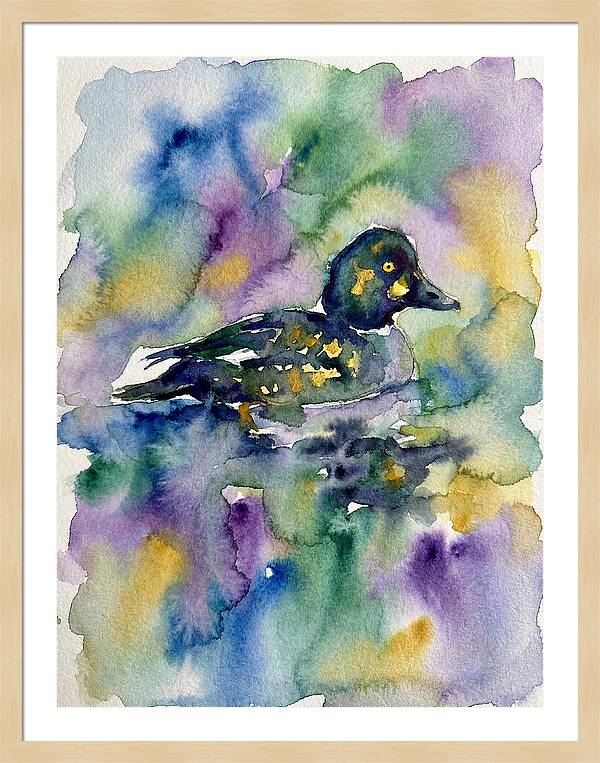 Majestic Goldeneye Duck Portrait