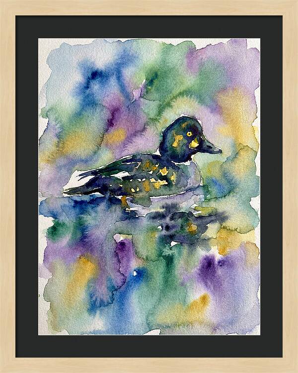 Majestic Goldeneye Duck Portrait