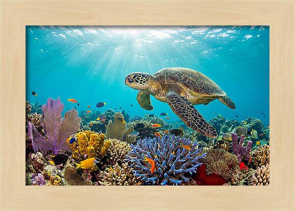 Majestic Green Sea Turtle Gliding